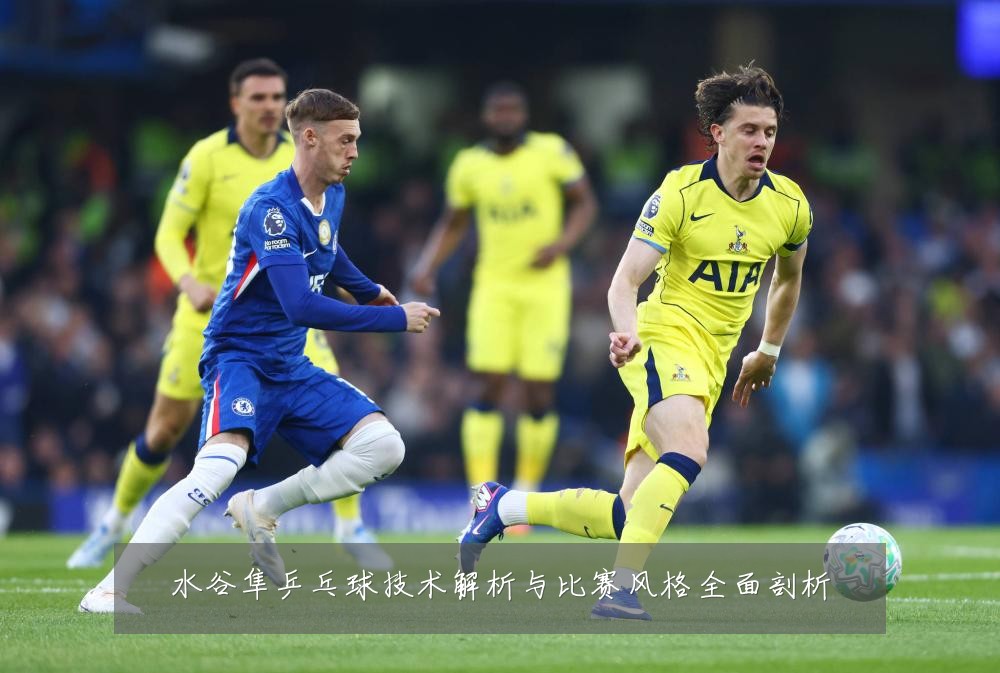 水谷隼乒乓球技术解析与比赛风格全面剖析